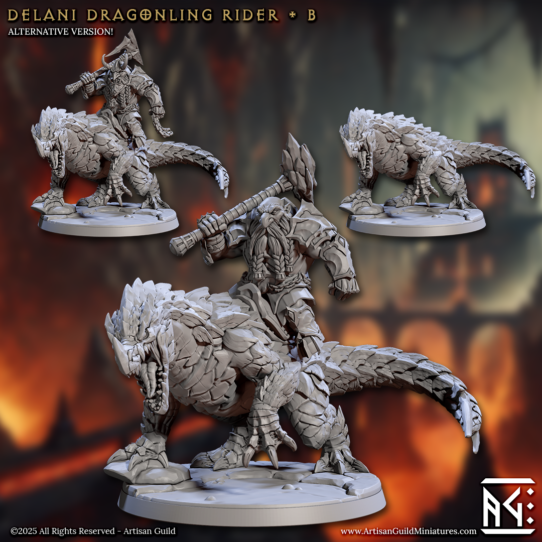 Drachenreiter B