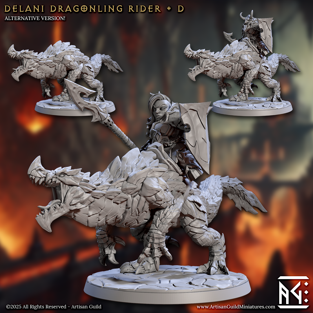 Drachenreiter D