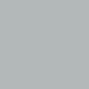 Spielfarbe Metallic Silber - 18ml