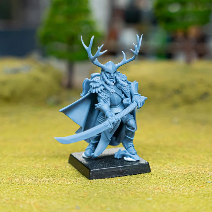 Feral Elf Highborn