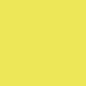 Spielfarbe Fluoreszierendes Gelb - 18ml