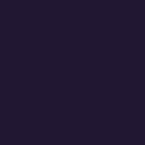 Spielfarbe Mitternachtsviolett - 18ml