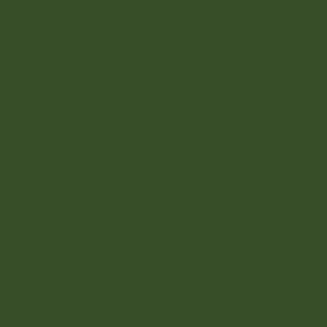 Spielfarbe Angel Green - 18ml