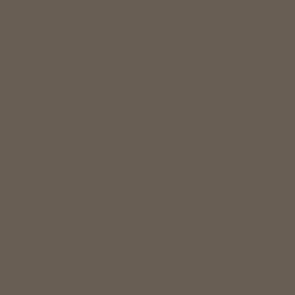 Game Color Wash Umbra - 18ml