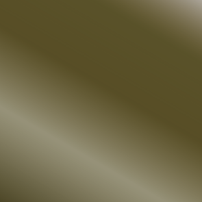 True Metallic Metal – Gealtertes Metall (Basis) – 18 ml