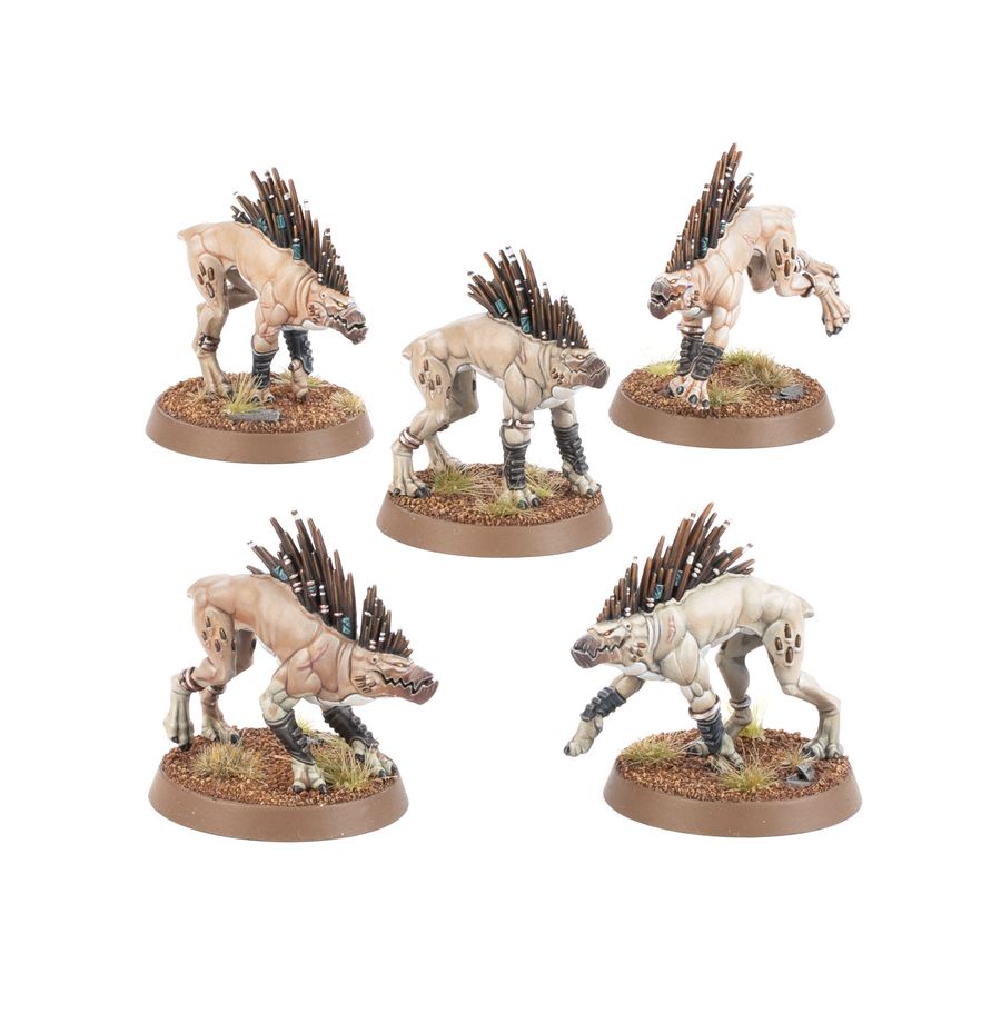 T'au Empire - Kroot Hounds