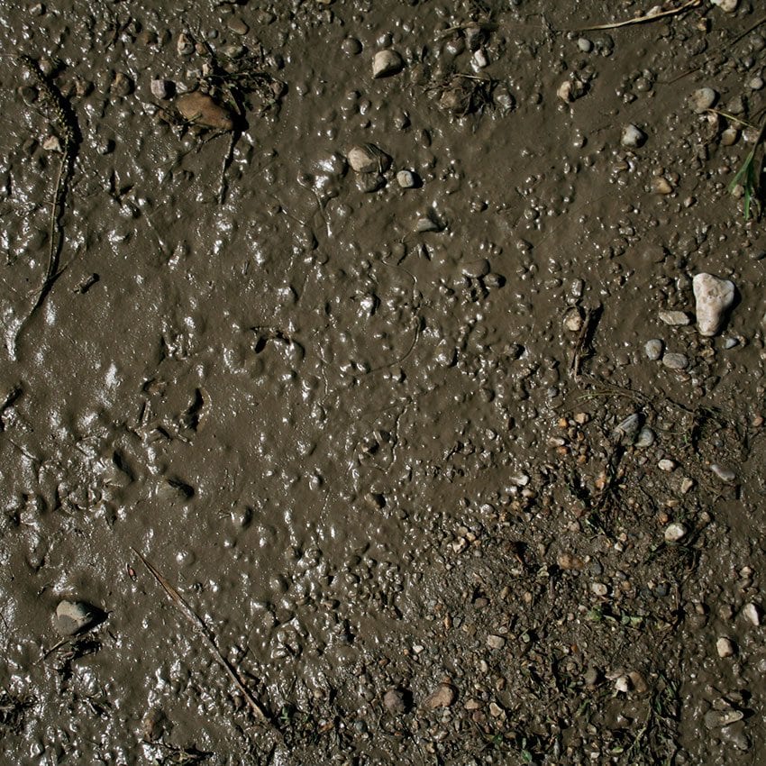 Terrains Nasser Boden - 250ml