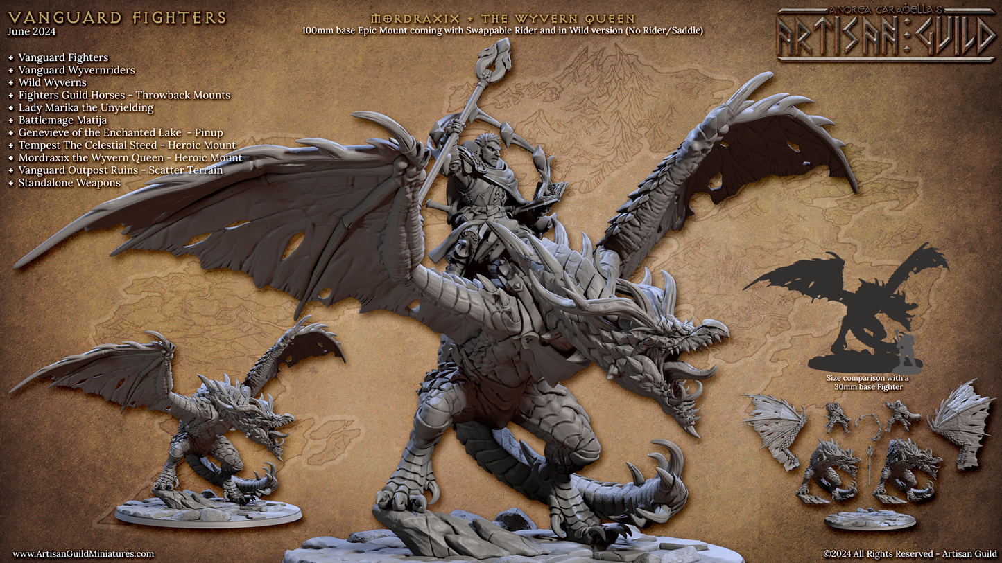 Modrdaxix Wyvern-Königin