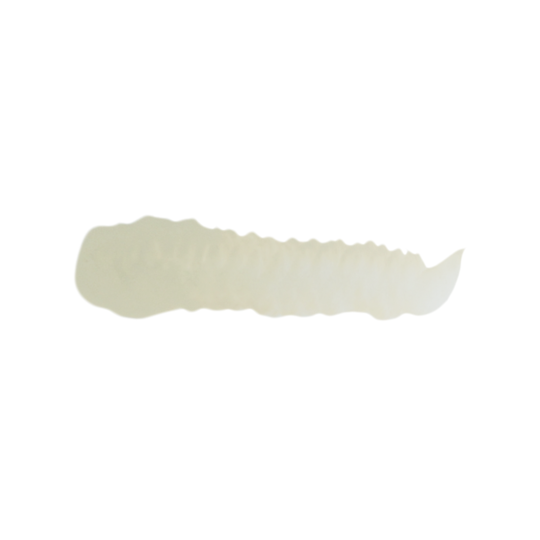 Scalecolor Birke - 17ml