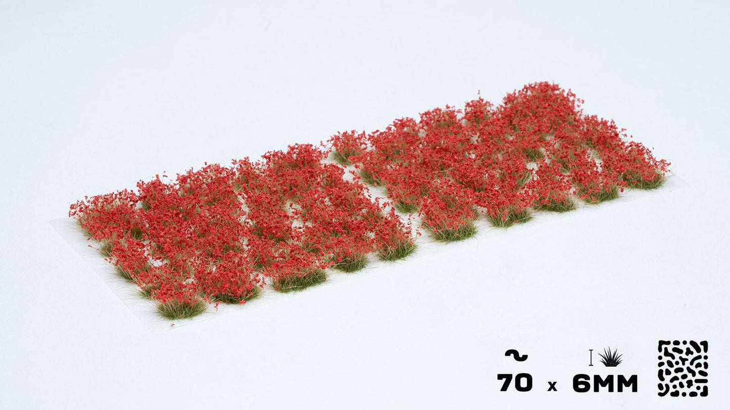 Rote Blumen
