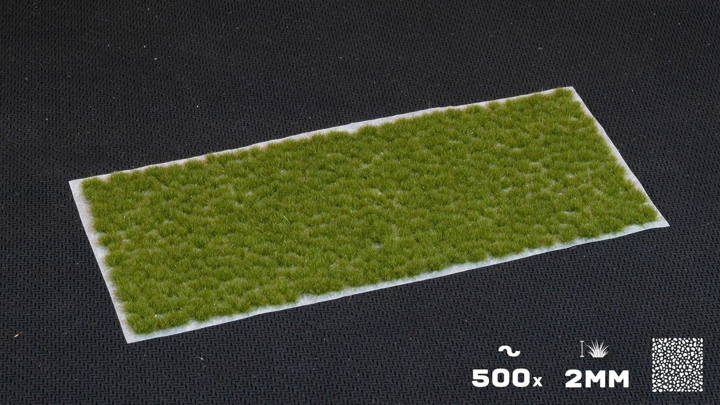Winzige trockene grüne Büschel wild 2mm