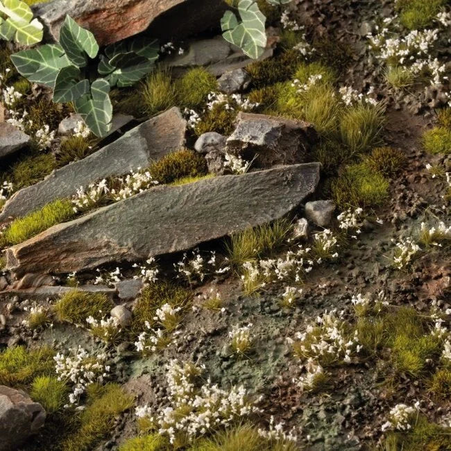 Weiße Lilie Winzige Blüten 4mm