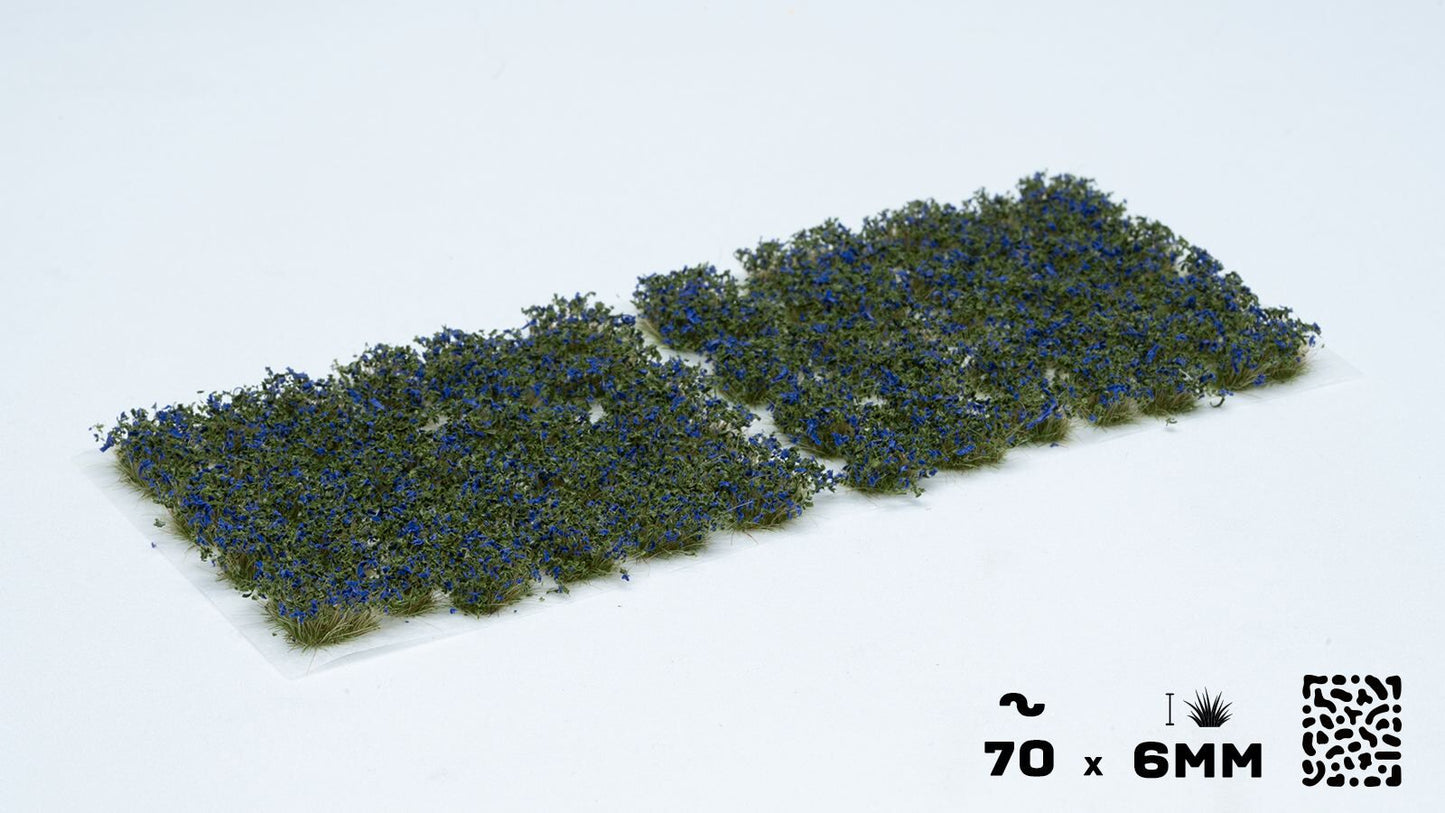 Blaue Blumen
