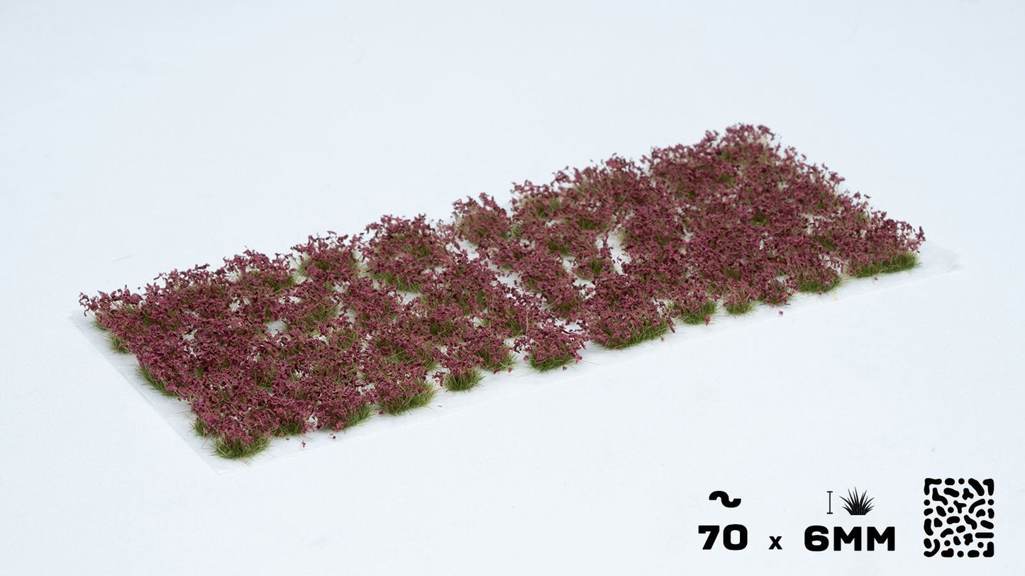 Dunkelviolette Blüten