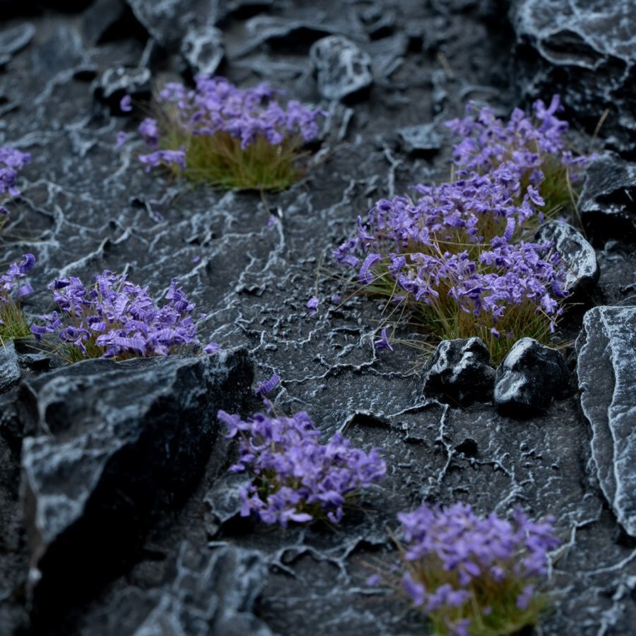 Violette Blumen