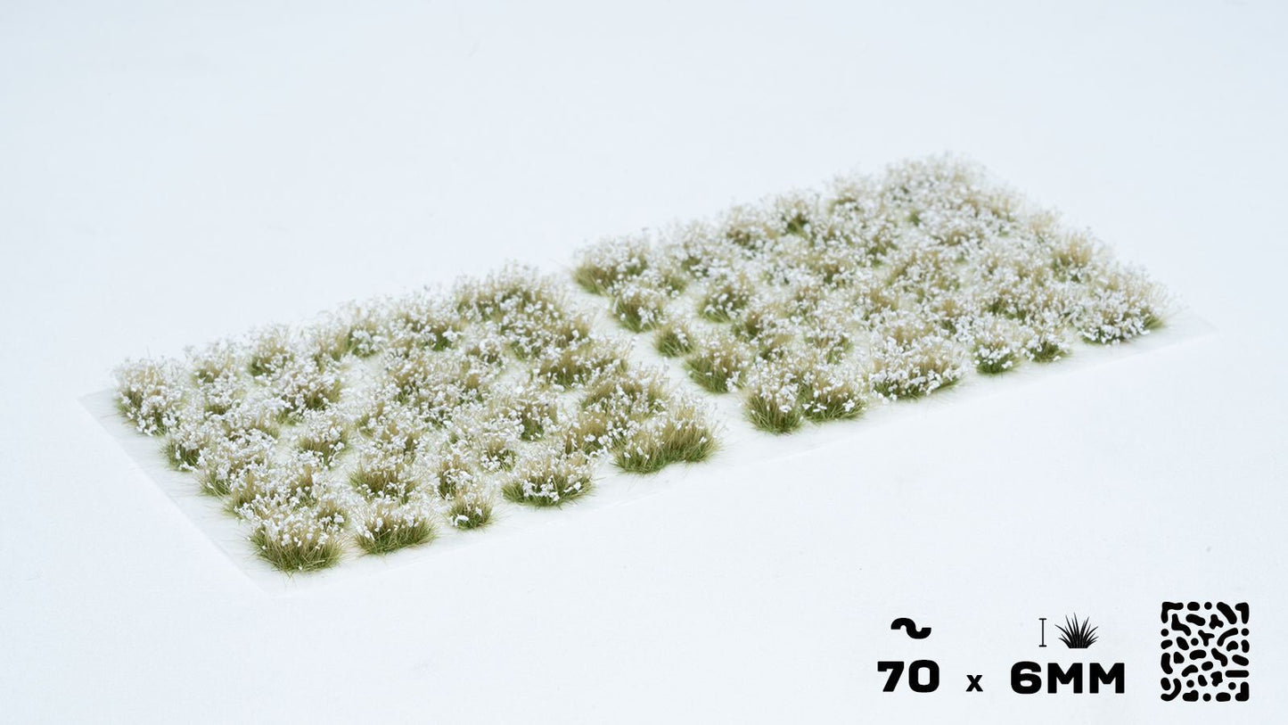 Weiße Blumen