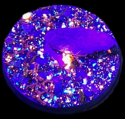Deep Sea