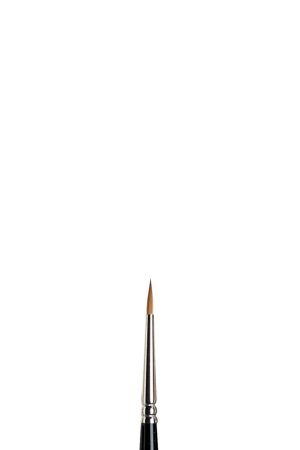 Serie 7 - Kolinsky Zobel 1