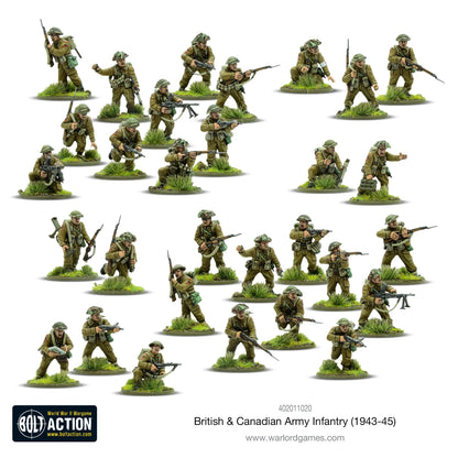 Infanterie der britischen und kanadischen Armee (1943–1945)