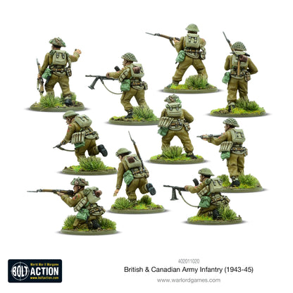 Infanterie der britischen und kanadischen Armee (1943–1945)
