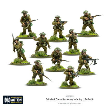 Infanterie der britischen und kanadischen Armee (1943–1945)
