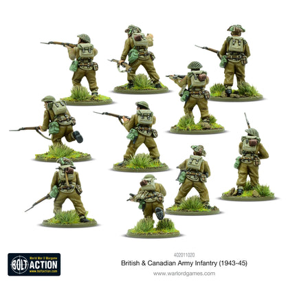 Infanterie der britischen und kanadischen Armee (1943–1945)