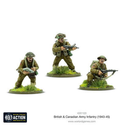 Infanterie der britischen und kanadischen Armee (1943–1945)