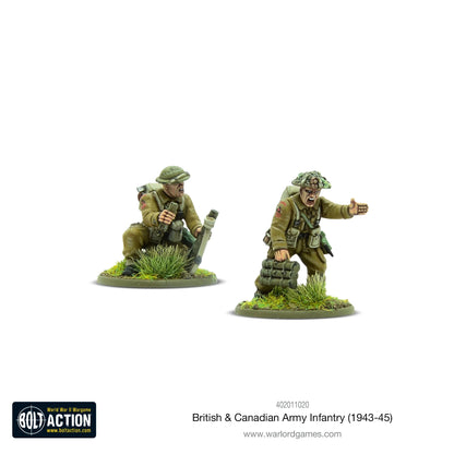 Infanterie der britischen und kanadischen Armee (1943–1945)