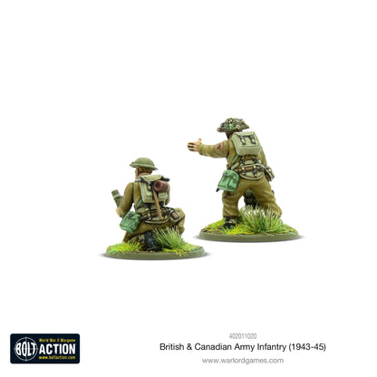 Infanterie der britischen und kanadischen Armee (1943–1945)