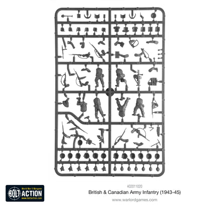 Infanterie der britischen und kanadischen Armee (1943–1945)