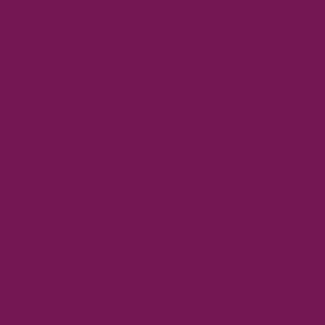 Spielfarbe Warlord Purple - 18ml