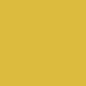 Spielfarbe Metallic Poliertes Gold - 18ml