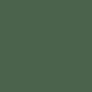 Spielfarbe Tinte Schwarz Grün - 18ml