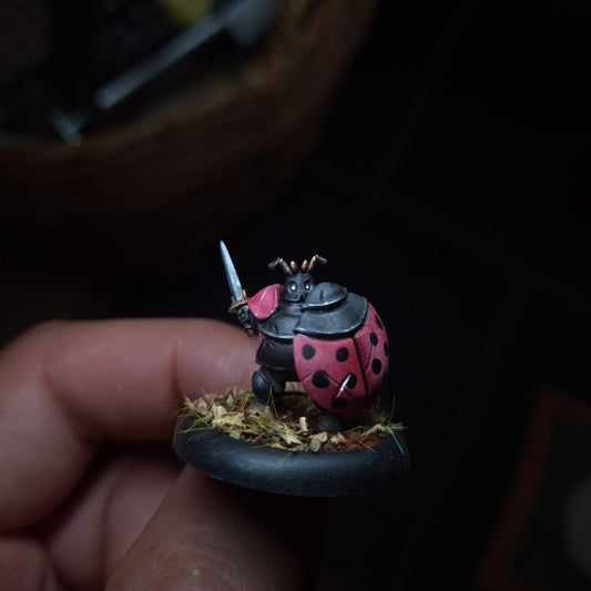 Ladybug Knight