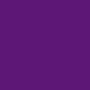 Spielfarbe Fluoreszierendes Violett - 18ml