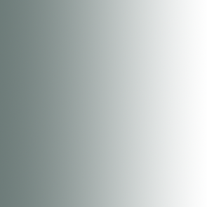 Xpress Farbe Templar White - 18ml