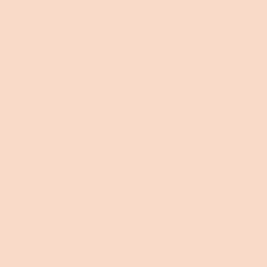 Squidmar Color - Northern Tan