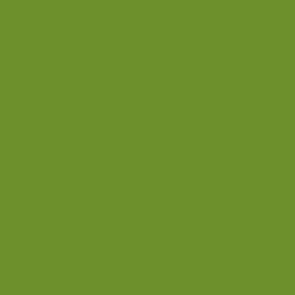 Squidmar Color - Cauldron Green