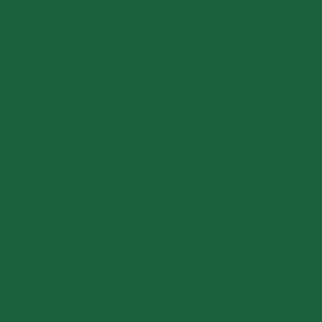 Squidmar Color - Birch Leaf