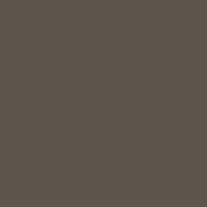 Squidmar Color - Granite Grey