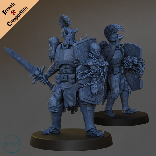 Heretic Anointed Sword and Shield