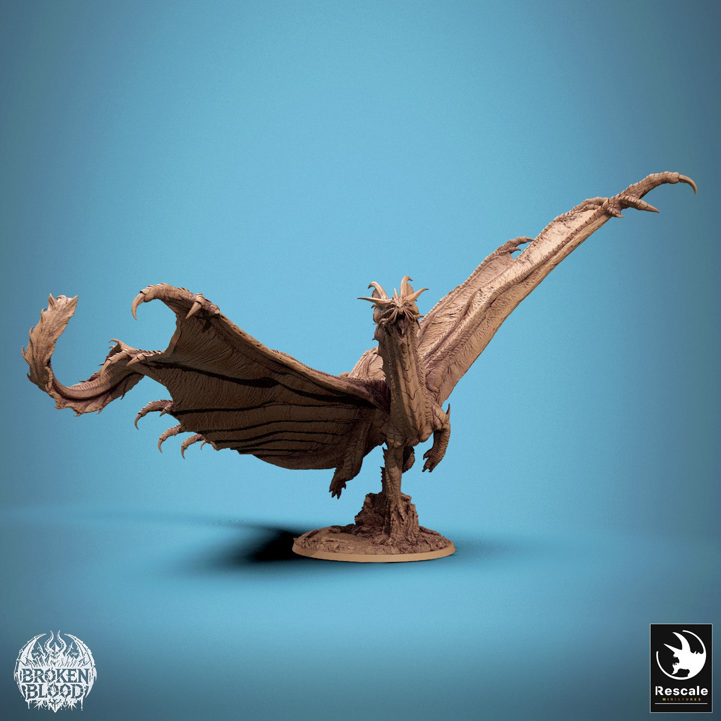 Golddrache - Fliege
