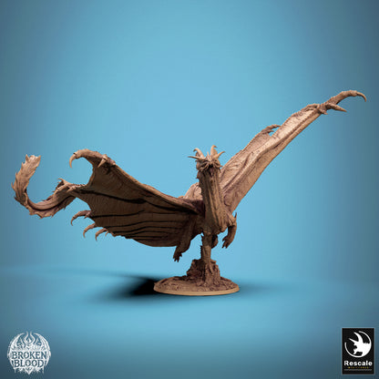 Golddrache - Fliege