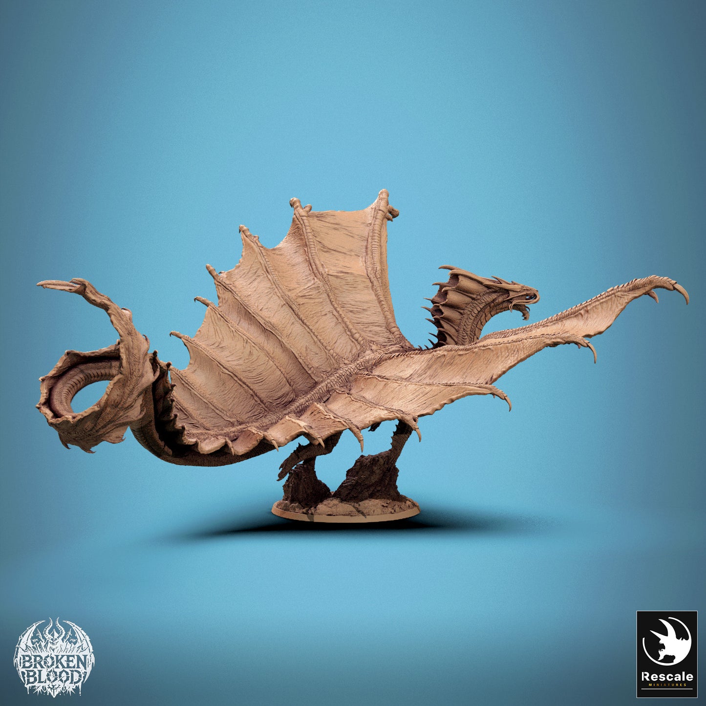 Golddrache - Fliege