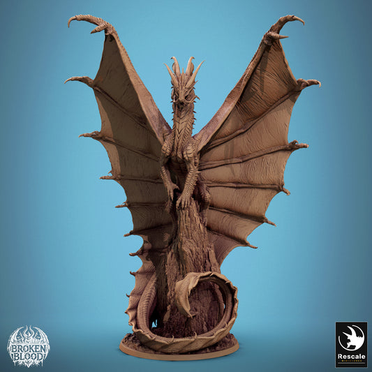 Golddrache – Prestige