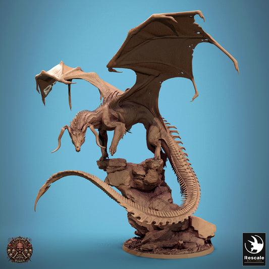 Schwarzer Drache – Haltung