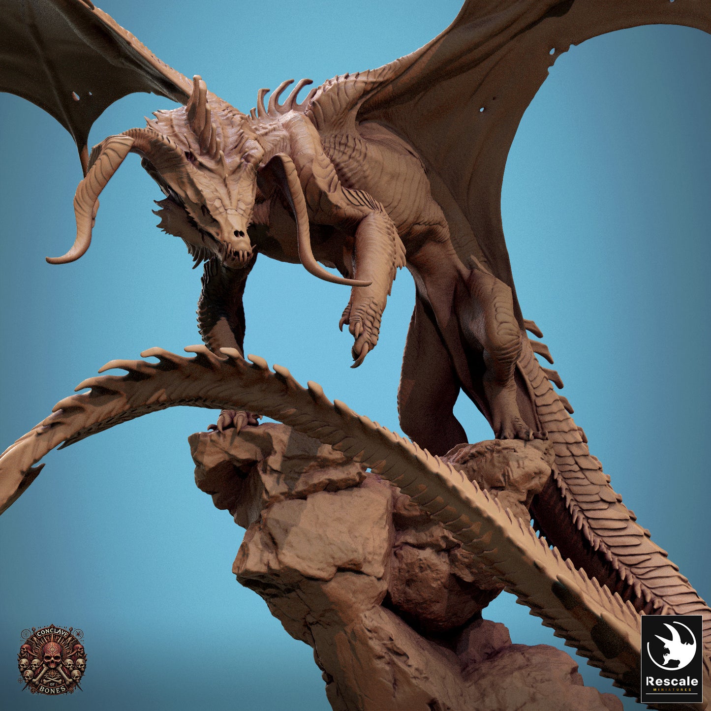 Schwarzer Drache – Haltung