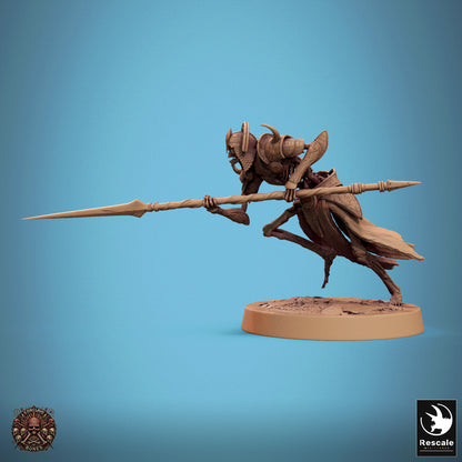 Persisches Skelett - Charge B