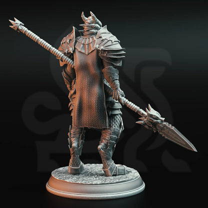 Knights of the Dragon