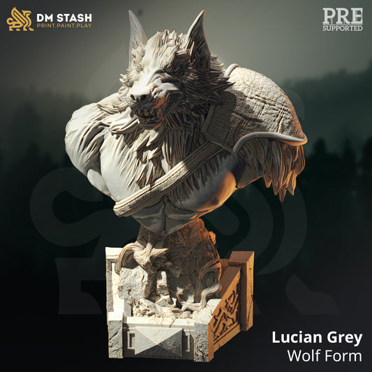 Lucian Gray - Wolf Form - Bust